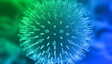 human papillomavirus infection routes