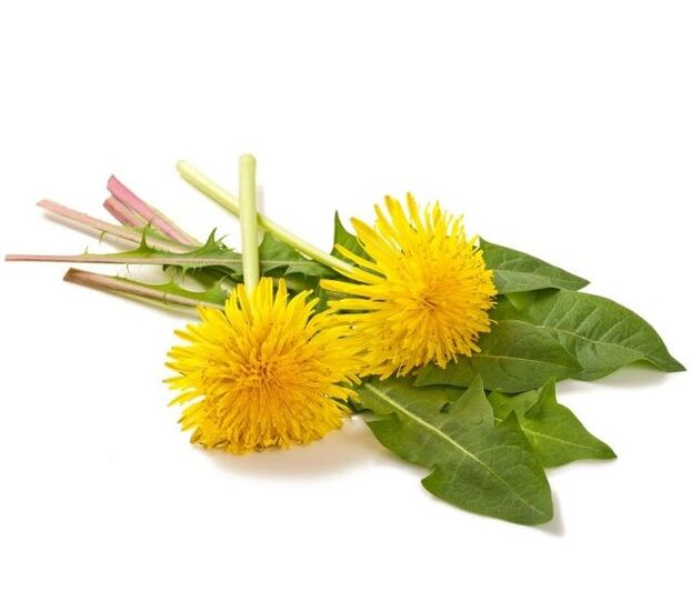 Dandelions for cauterization of papillomas